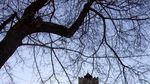 Bertamu ke Kastil Drakula di Rumania