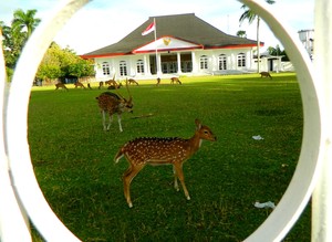 Bertamu ke Rumah Gubernur Jenderal Inggris di Bengkulu