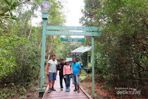 Bertamu ke Rumah Orangutan di Kalimantan Barat