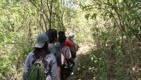 Track yang berada di TN Komodo