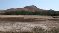 Pemandangan di Pulau Rintja