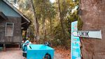 Bertemu Anak Penyu di Pantai Pulau Sangalaki