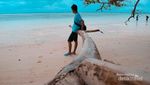 Bertemu Anak Penyu di Pantai Pulau Sangalaki