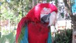 Bertemu Burung-Burung Cantik di Bandung
