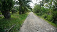 Jalan menuju TWA Seblat