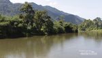Bertemu Ikan Larangan di Sumbar