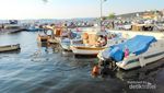 Bertemu Kuda Perang Raksasa di Canakkale, Turki