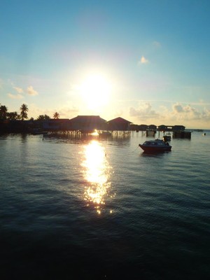 Bertemu Manta Sampai Ubur-ubur Tak Menyengat di Derawan