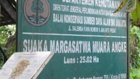 Suaka Margasatwa Muara Angke di Jakarta Utara