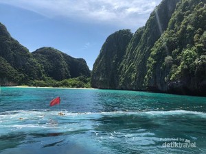 Bertemu Nemo & Keluarganya di Phi-phi Island