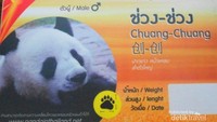 Keterangan panda Chuang-chuang