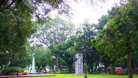 Suasana Taman Suropati yang asri di sore hari