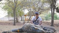 Berfoto dengan Komodo