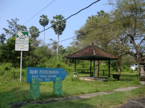 Bertemu Si Jalak Bali di Taman Nasional Bali Barat