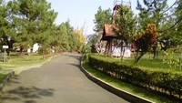 Wilayah observasi