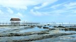 Bertualang di Simeulue, Pulau Surga Penghasil Lobster