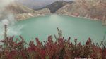 Bertualang ke Kawah Ijen
