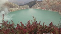 Keindahan danau asam Kawah Ijen