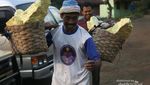 Bertualang ke Kebun Kopi di Kalisat, Bondowoso