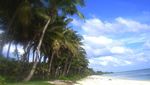 Bertualang Sendirian ke Wakatobi