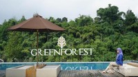 Bagian kolam renang dengan pepohonan yang menghijau