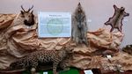 Berwisata Sambil Belajar di Museum Bea Cukai Taiwan