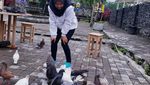 Bhumi Merapi, Wisata Ramah Anak Yogyakarta