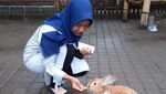 Bhumi Merapi, Wisata Ramah Anak Yogyakarta