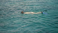 snorkeling di Pantai Bias Tugel