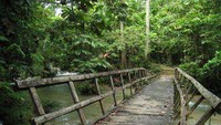 Jembatan penghubung (Terryna Padmi Tunjungsari/dtraveler)