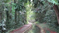 Jalan menuju air terjun (Oke Hastiawan/ACI)