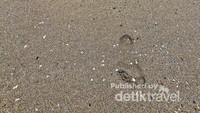 Pantai Karumbu