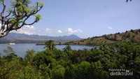 Pohon-pohon eksotis yang berbeda dengan pantai-pantai lainnya, yang tumbuh di sekitar pantai menambah keindahan.