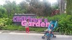 Bisa Banget, Wisata Gratis Bareng Anak di Singapura