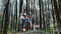 Dekat dengan hutan pinus juga lho