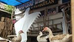 Bisa Jadi Ini Kampung Wisata Paling Keren di Bandung