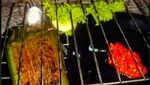 Bisa, Kulineran Sambil Camping di Kafe Tangerang