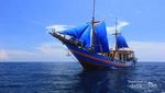 Bisa! Liburan di Pulau Komodo Naik Kapal Phinisi