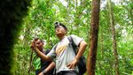 Blusukan Bareng Orangutan & Babi Hutan di Kalimantan Tengah
