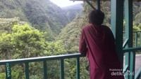 Gardu pandang di Kawasan Hutan Tropis