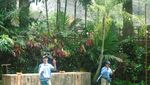 Bogor Juga Punya Tempat Melihat Burung Cantik
