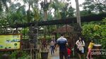 Bogor Juga Punya Tempat Melihat Burung Cantik