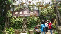 Dewi Kinnaris Bird Aviary, merupakan bagian dari Royal Safari Garden Bogor.