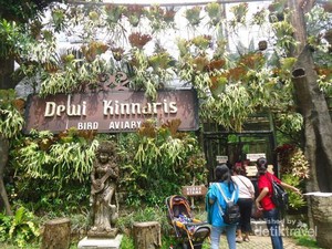 Bogor Juga Punya Tempat Melihat Burung Cantik