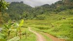 Bogor Punya Air Terjun Tersembunyi Seindah Ini