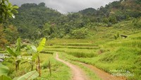 Di awal trekking kita akan disuguhkan pemandangan ini