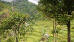 Bogor Punya Air Terjun Tersembunyi Seindah Ini