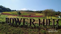 Flower Hills berada di komplek perumahan Vimala Hills di Simpang Gadog, Bogor