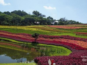 Bogor Rasa Belanda, Penasaran?