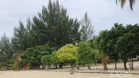 Suasana pinggir pantai dengan hamparan pasir putih